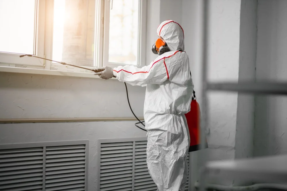 Professional mold remediation services in Lowell, IN